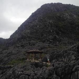 Meet your Posher, Bee